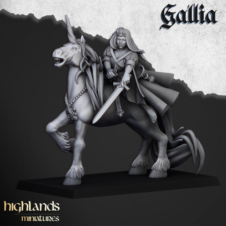 Kingdom of Gallia Starter Army | Highlands Miniatures 28mm Fantasy Wargaming Miniatures Role Playing Miniatures