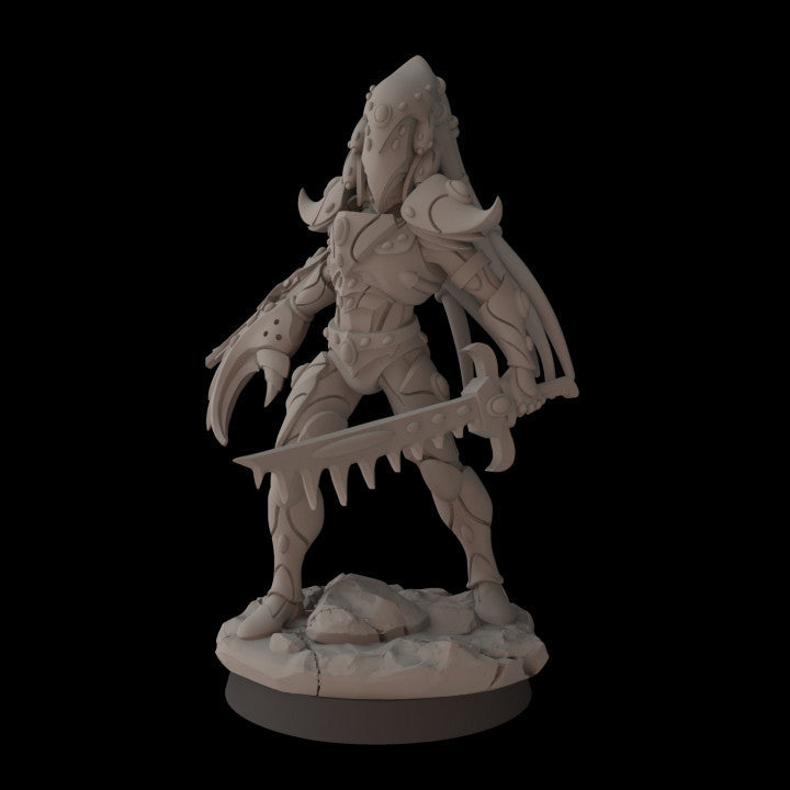 Space Elves Eviscerator Lord | Fantasy Cult 32mm Grimdark Wargaming Miniatures Role Playing Miniatures