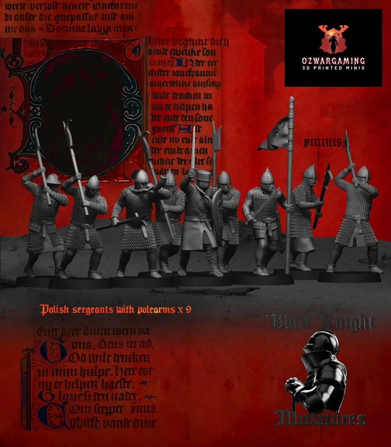 13th Century Polish Sergeants | Black Knight Miniatures 28mm Historical Wargaming Miniatures Role Playing Miniatures