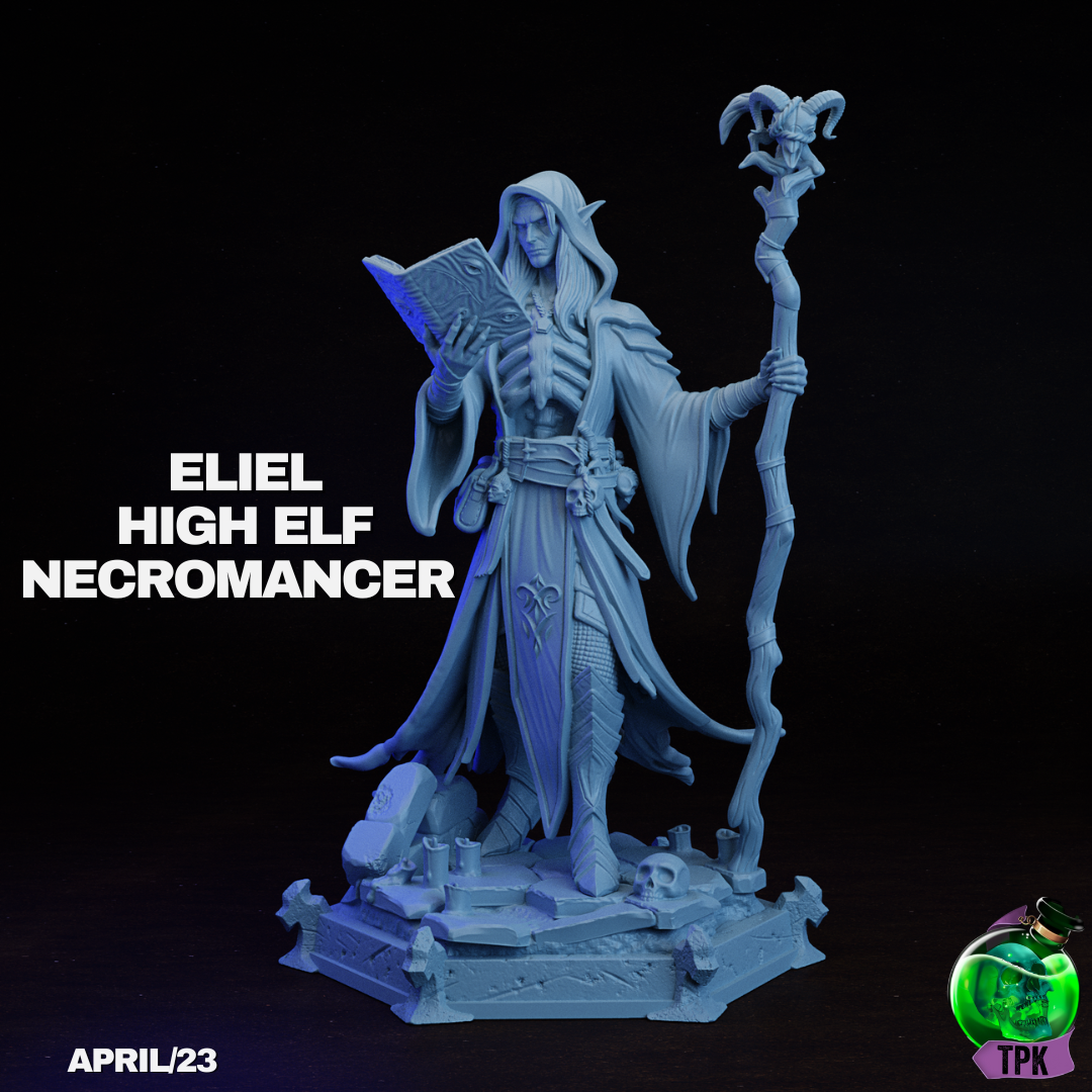 High Elf Necromancr Eliel | TPK Lab 32mm Fantasy Tabletop RPG Miniatures Role Playing Miniatures