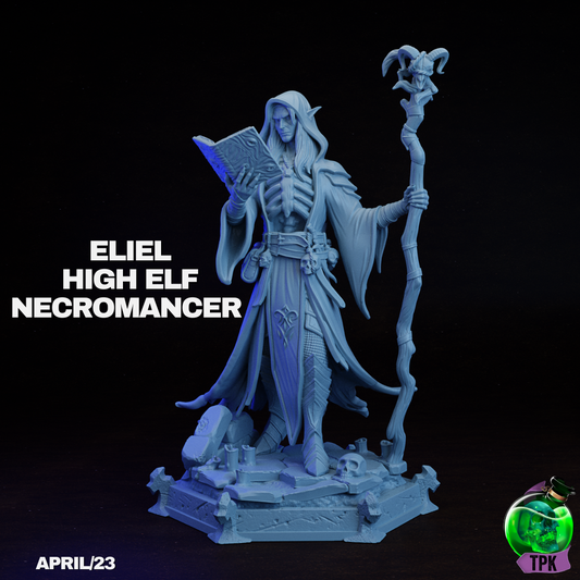 High Elf Necromancr Eliel | TPK Lab 32mm Fantasy Tabletop RPG Miniatures Role Playing Miniatures