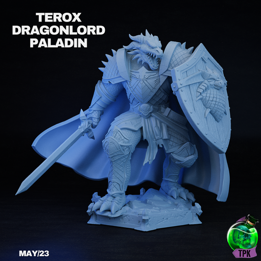 Terox Dragonlord Paladin | TPK Lab 32mm Fantasy Tabletop RPG Miniatures Role Playing Miniatures