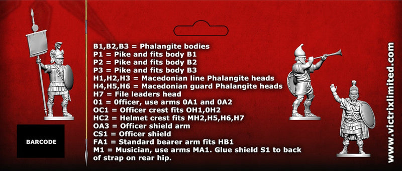 Macedonian Phalangites
