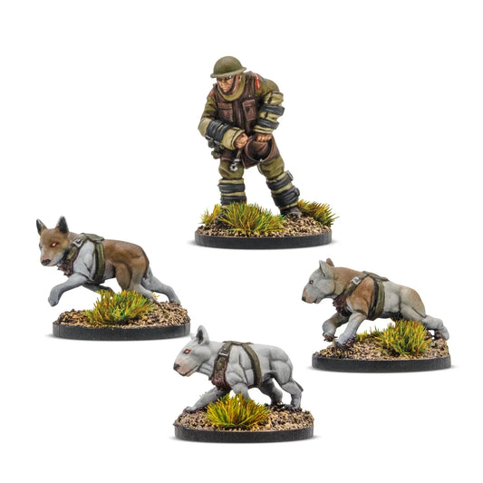 Konflikt '47 - British Commonwealth: Ceberus Squad I