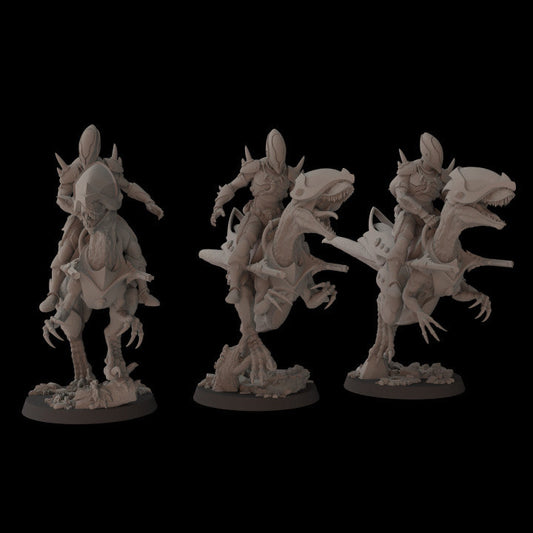 Exodite Space Elves Deonicus Riders | Fantasy Cult 32mm Grimdark Wargaming Miniatures Role Playing Miniatures