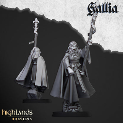 Kingdom of Gallia Starter Army | Highlands Miniatures 28mm Fantasy Wargaming Miniatures Role Playing Miniatures