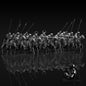 13th Century Teutonic Order Mounted Ritterbrüder Knights | Black Knight Miniatures 28mm Historical Wargaming Miniatures