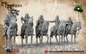 WSS Austrian High Command | Battlecat 28mm Historical Wargaming Miniatures Role Playing Miniatures