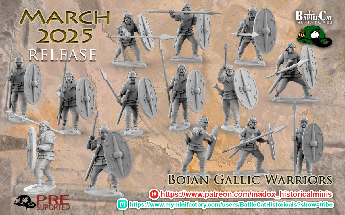 Gallic Boian Warriors | Battlecat 28mm Historical Wargaming Miniatures Role Playing Miniatures