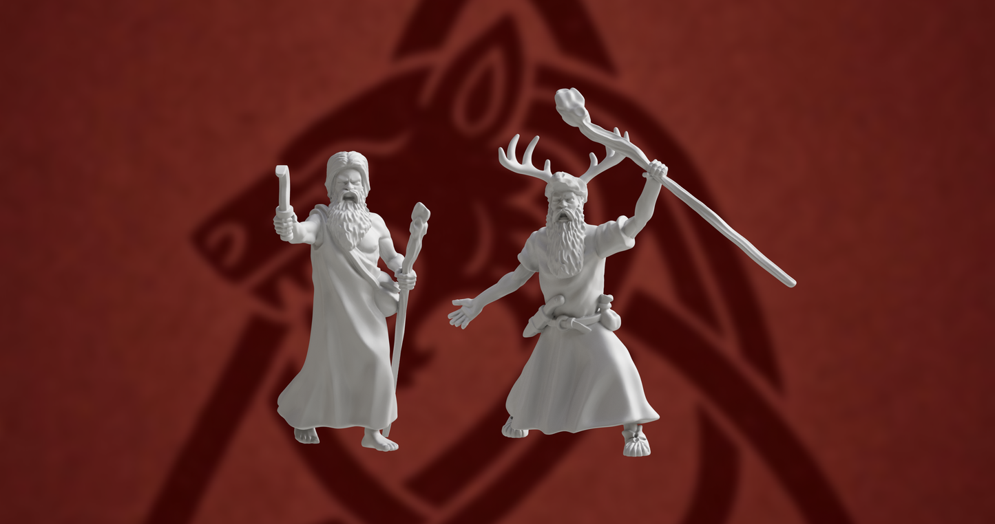 Germanic Tribes Druids | 3D Breed 28mm Ancients Wargaming Miniatures Role Playing Miniatures