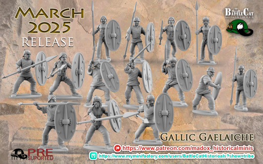 Gallic Gaelaiche | Battlecat 28mm Historical Wargaming Miniatures Role Playing Miniatures