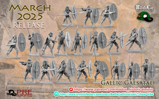 Gallic Gaesatae | Battlecat 28mm Historical Wargaming Miniatures Role Playing Miniatures