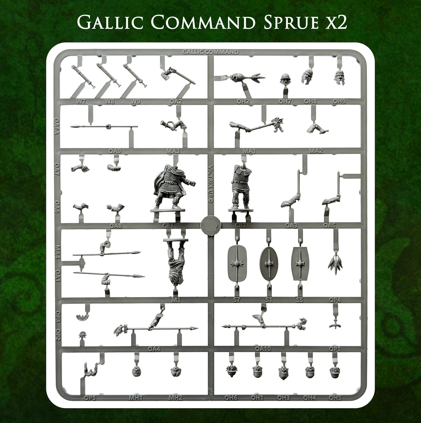 Unarmoured Gallic Warriors - Victrix