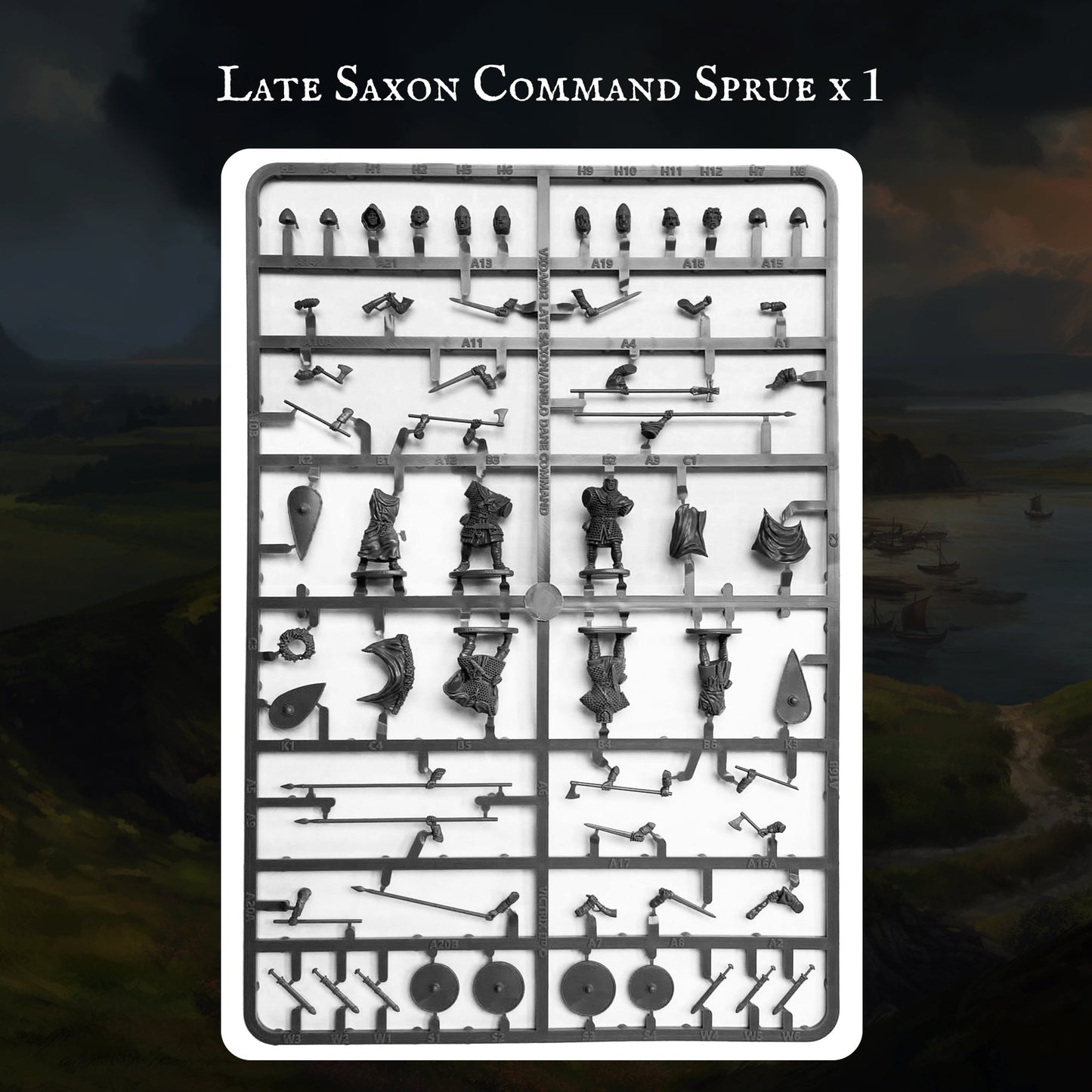 Saxon Warband - Victrix