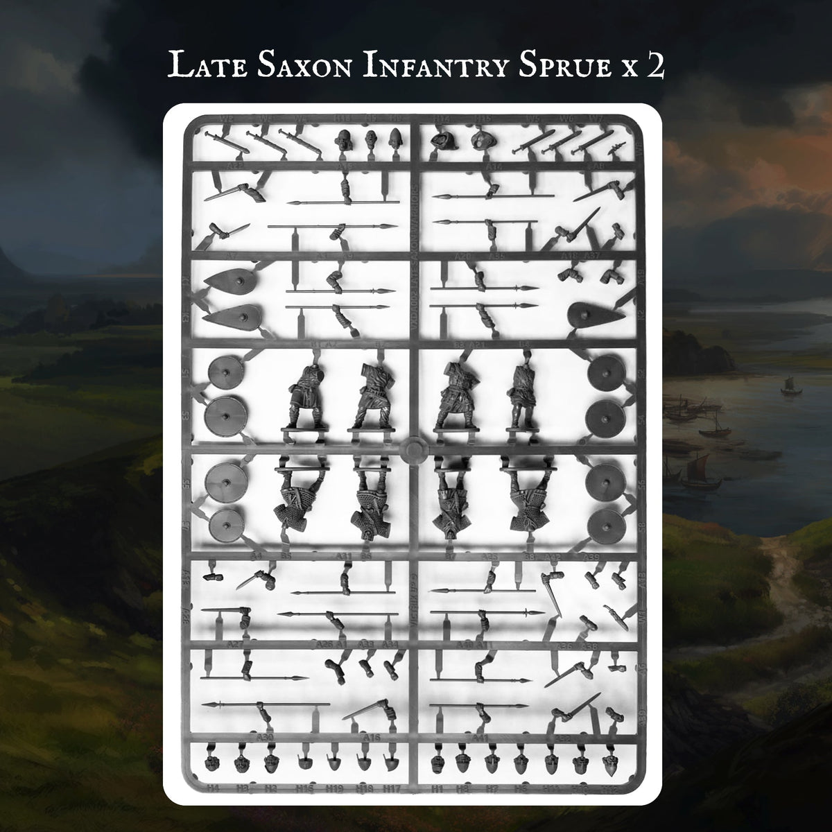 Saxon Warband - Victrix