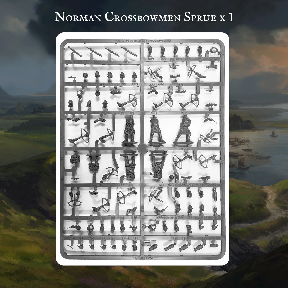 Norman Warband - Victrix
