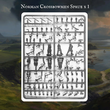 Norman Warband - Victrix
