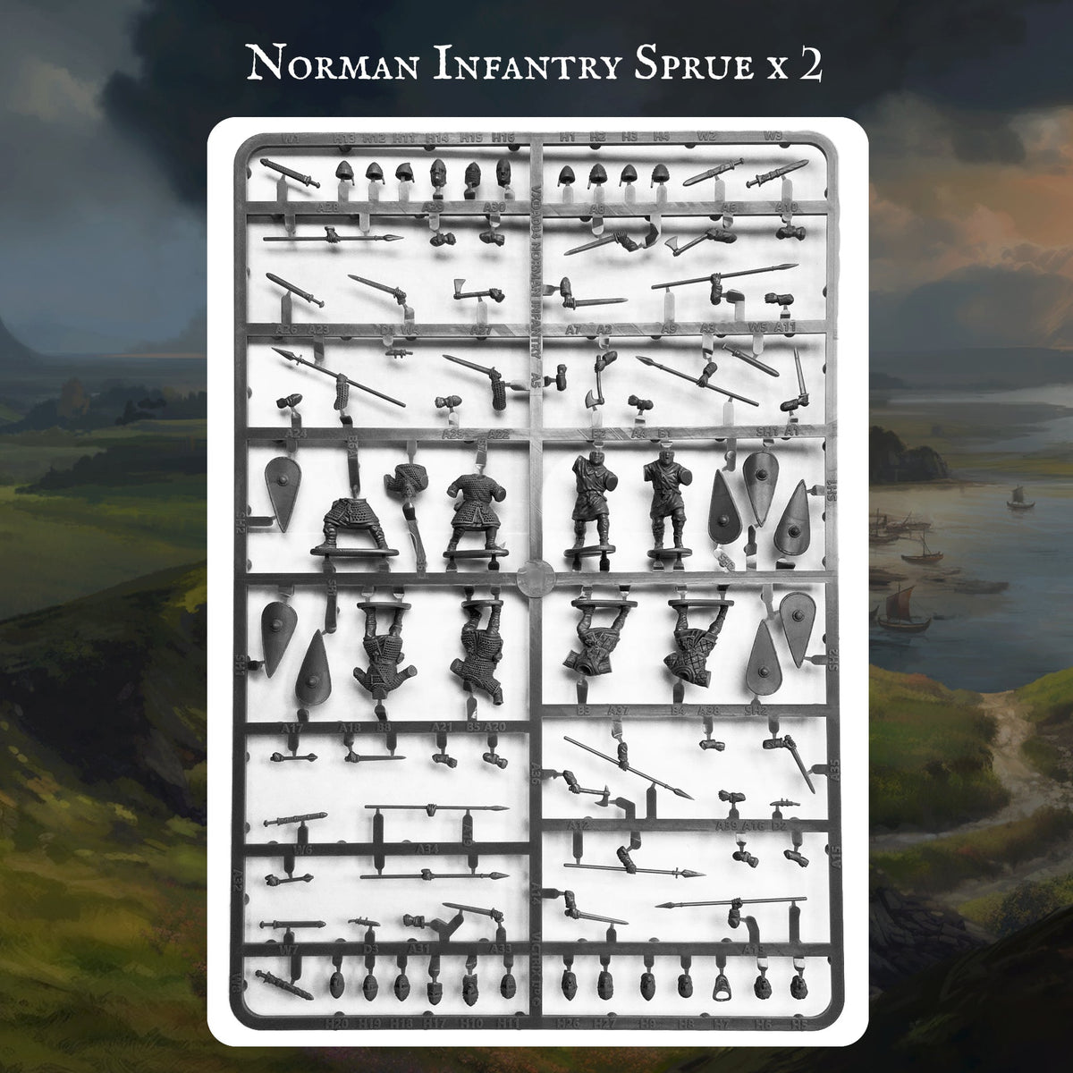 Norman Warband - Victrix