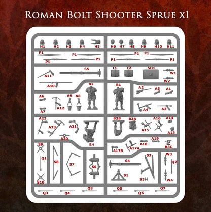Imperial Rome Warband