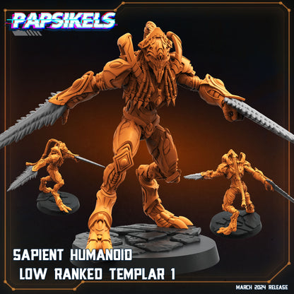 Sapients Zealous Templars | Papsikels 32mm Sci Fi Miniatures
