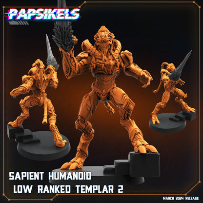 Sapients Zealous Templars | Papsikels 32mm Sci Fi Miniatures