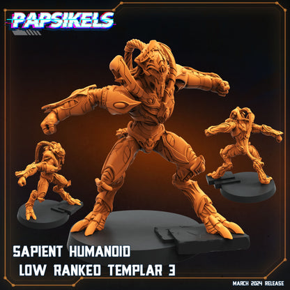 Sapients Zealous Templars | Papsikels 32mm Sci Fi Miniatures