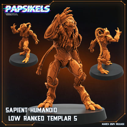 Sapients Zealous Templars | Papsikels 32mm Sci Fi Miniatures
