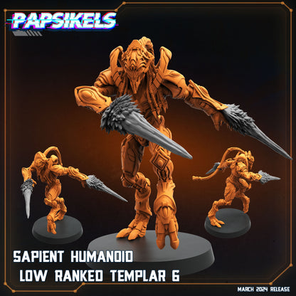 Sapients Zealous Templars | Papsikels 32mm Sci Fi Miniatures