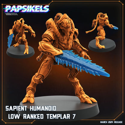 Sapients Zealous Templars | Papsikels 32mm Sci Fi Miniatures