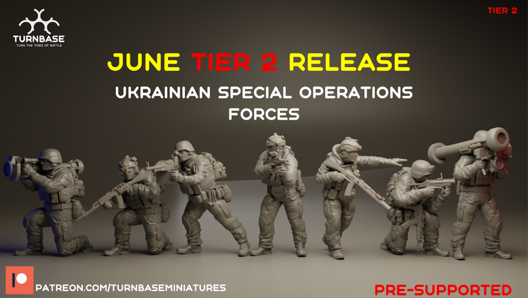 Ukraine Spec Ops | Turnbase Modern Military Wargaming Miniatures