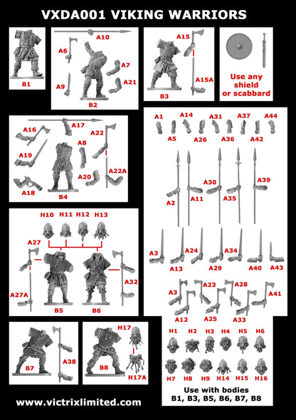 Viking Warband - Victrix