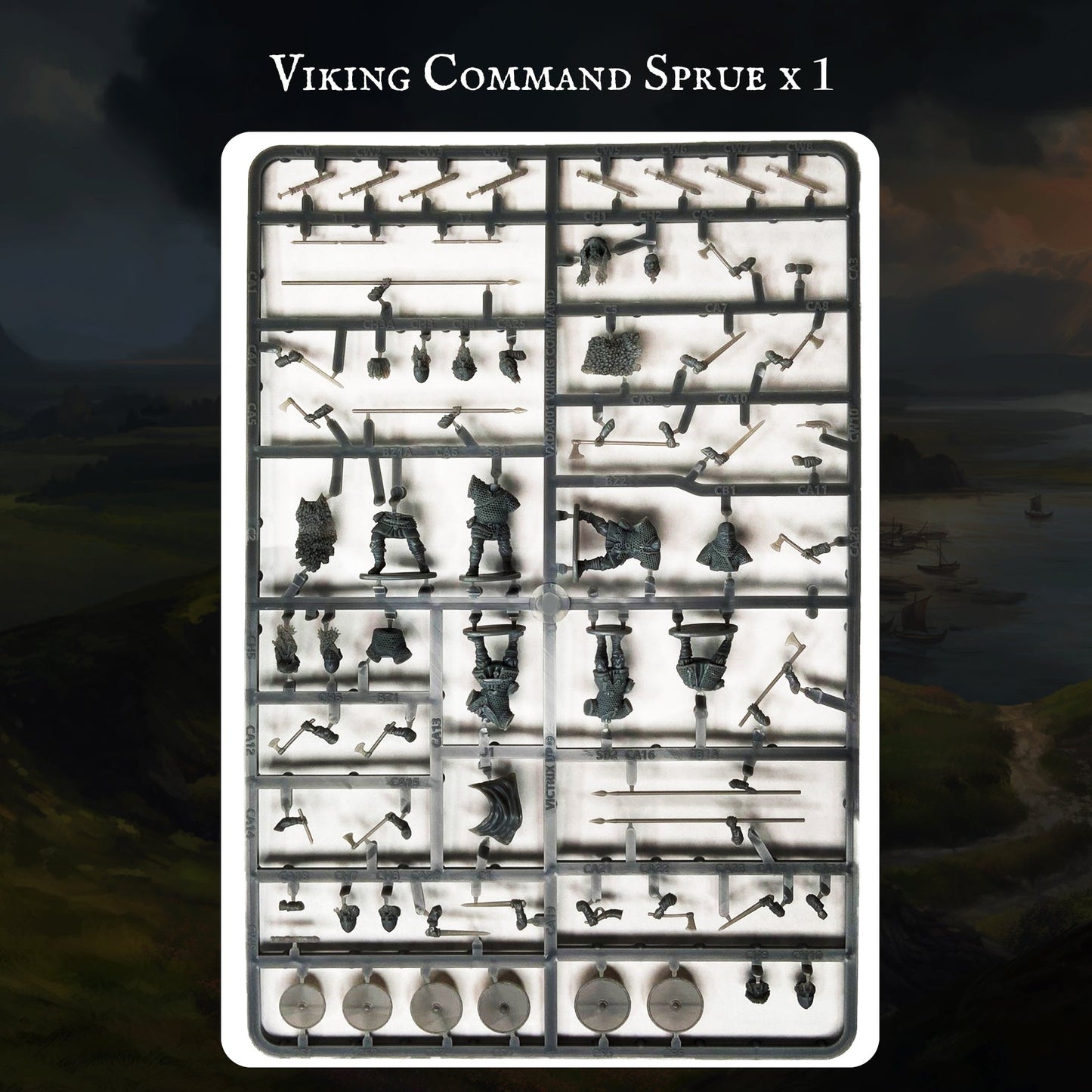 Viking Warband - Victrix