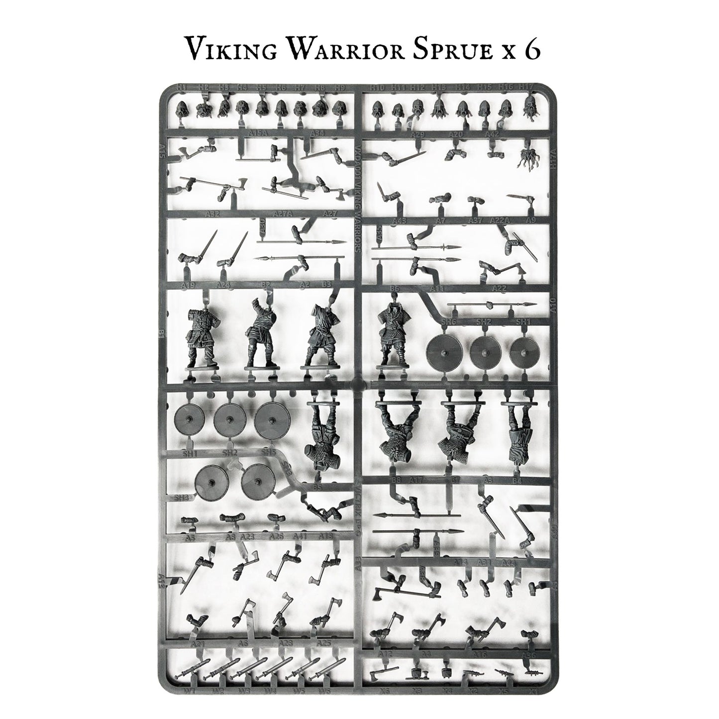 Vikings - Victrix
