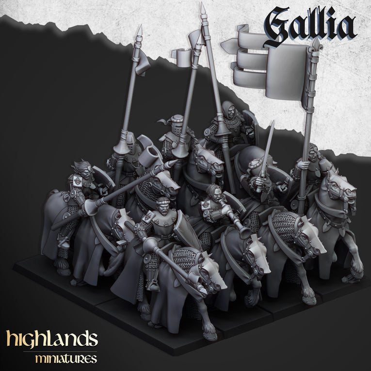 Kingdom Of Gallia Young Knights | Highlands Miniatures 28/32mm Fantasy Wargaming Miniatures