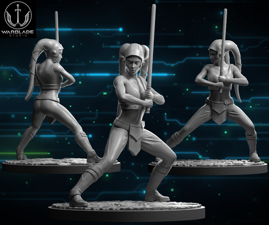 Shatter Scale Aayla Secura | Warblade Studios 40mm Miniatures Role Playing Miniatures