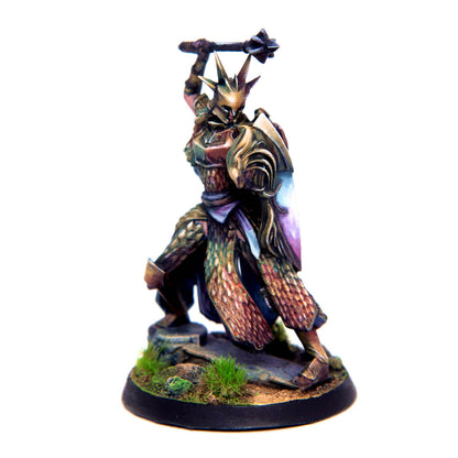 Citadel Guard - Eldfall Chronicles SPECIAL ORDER