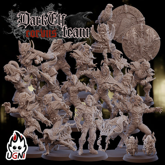 Dark Elf Fantasy Football Team | Ugni Miniatures Role Playing Miniatures