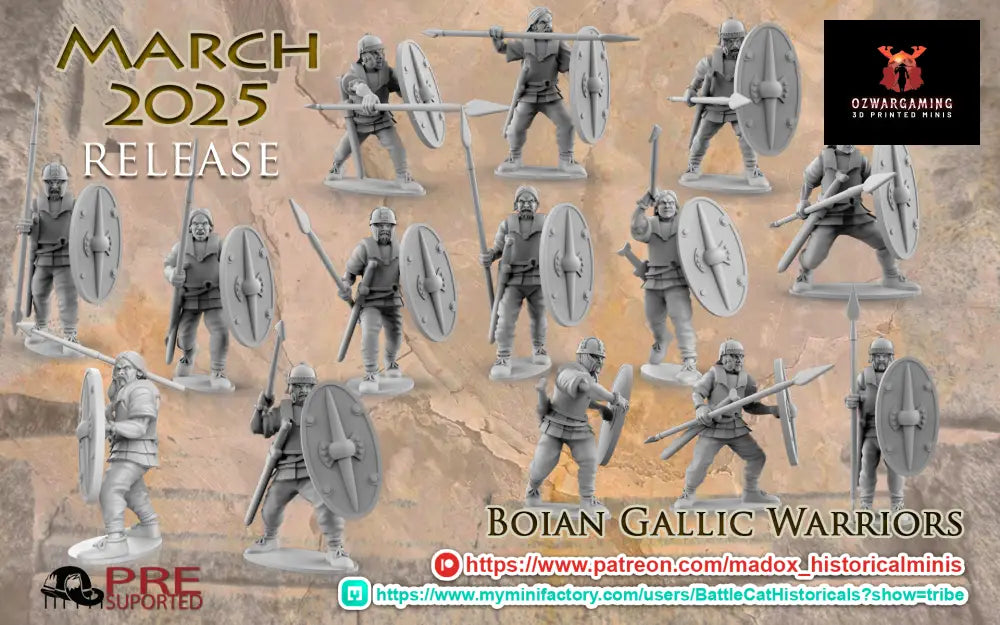 Gallic Boian Warriors | Battlecat 28mm Historical Wargaming Miniatures Role Playing Miniatures
