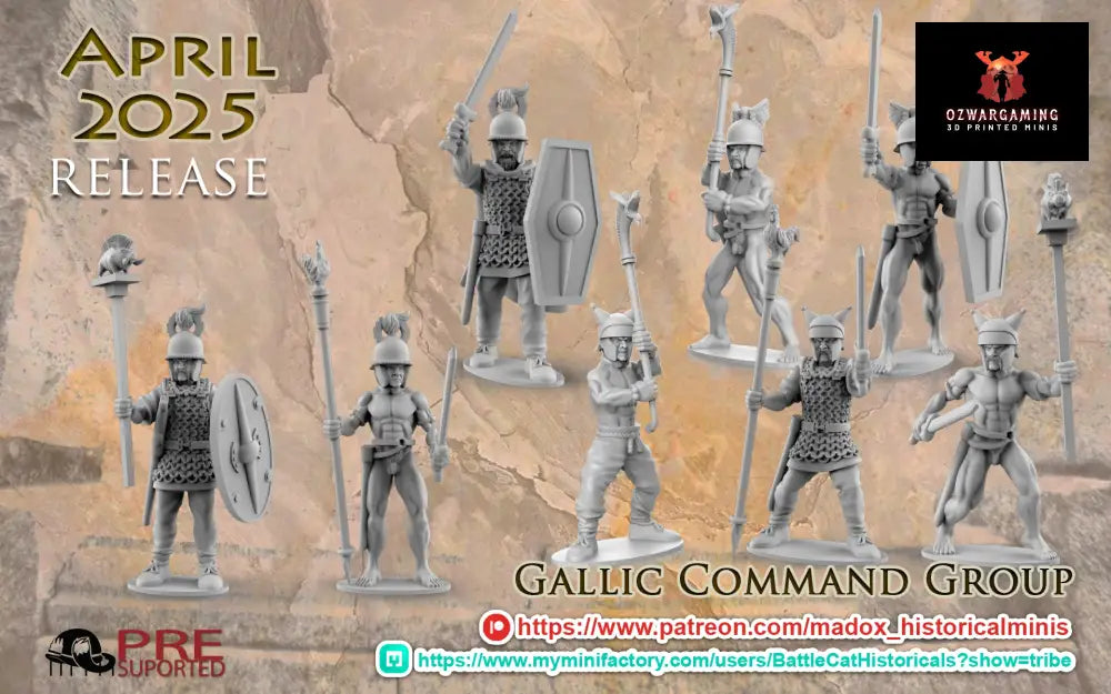 Gallic Command Group | Battlecat 28mm Historical Wargaming Miniatures Role Playing Miniatures