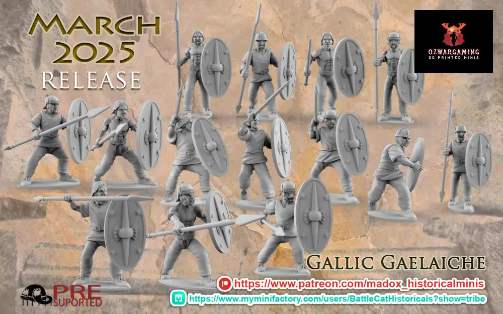 Gallic Gaelaiche | Battlecat 28mm Historical Wargaming Miniatures Role Playing Miniatures