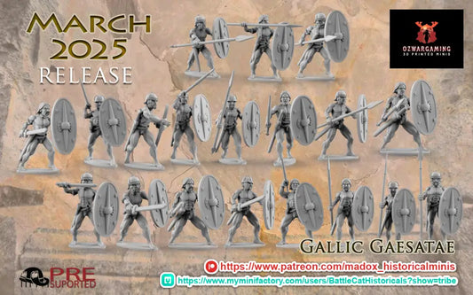 Gallic Gaesatae | Battlecat 28mm Historical Wargaming Miniatures Role Playing Miniatures