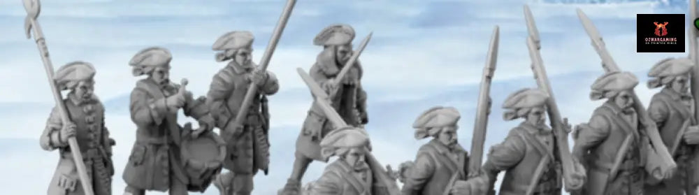 GNW Swedish Infantry | Battlecat 28mm Historical Wargaming Miniatures Early War Infantry Role Playing Miniatures