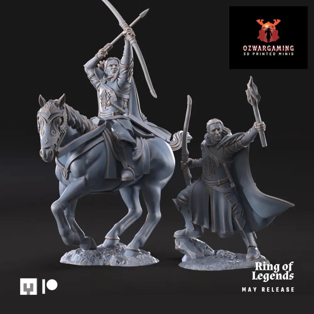 Grey Castle Court Captain | Davale Games 25mm Fantasy Wargaming Miniatures Role Playing Miniatures