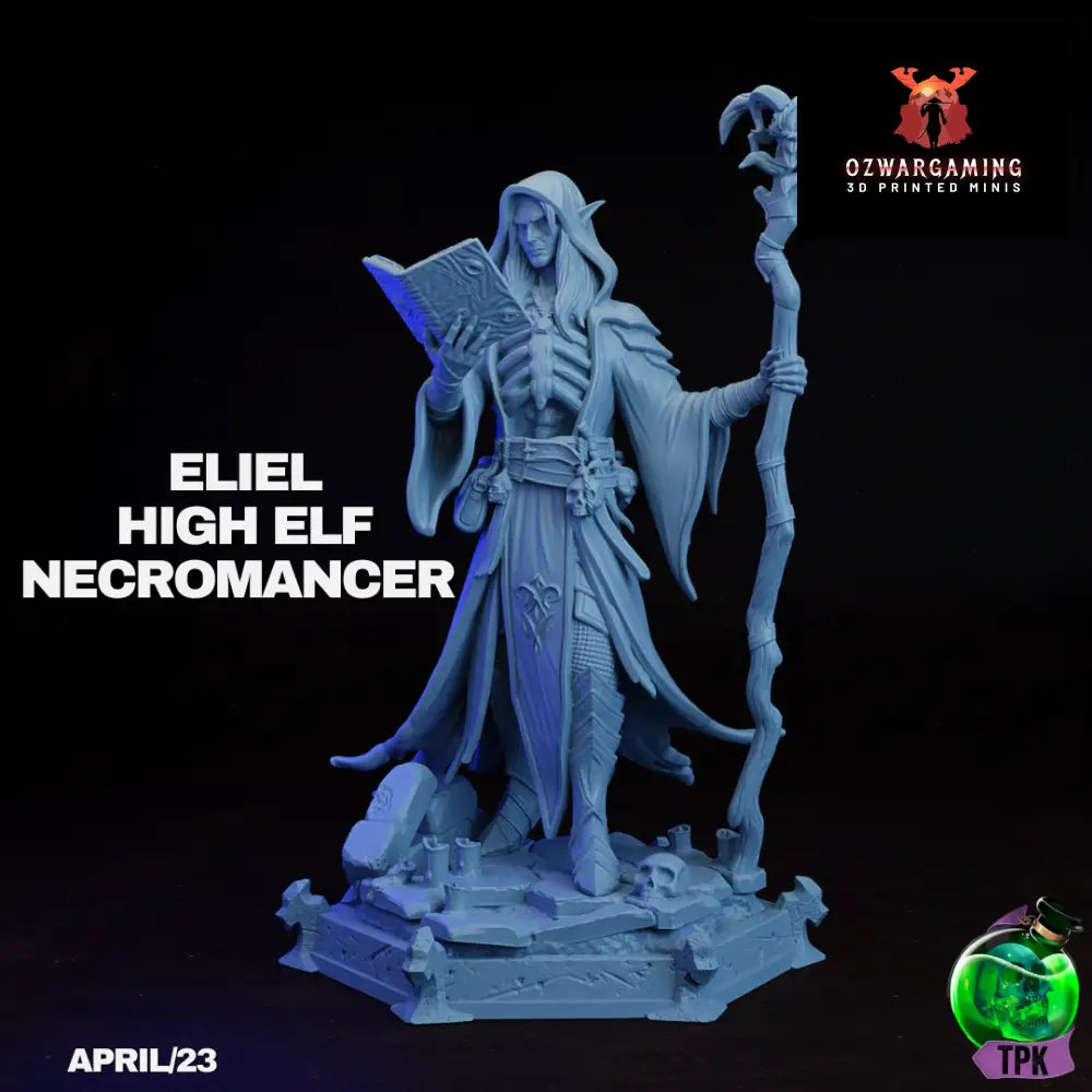 High Elf Necromancr Eliel | TPK Lab 32mm Fantasy Tabletop RPG Miniatures Role Playing Miniatures