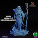 High Elf Necromancr Eliel | TPK Lab 32mm Fantasy Tabletop RPG Miniatures Role Playing Miniatures