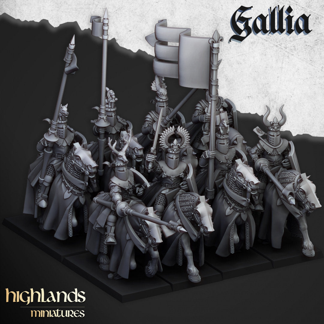 Kingdom Of Gallia Army Set| Highlands Miniatures 28mm Fantasy Wargaming Miniatures Role Playing Miniatures