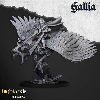 Kingdom Of Gallia Army Set| Highlands Miniatures 28mm Fantasy Wargaming Miniatures Role Playing Miniatures