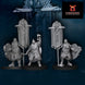 Kalak Dwarves King’s Champion | Davale Games 25mm Fantasy Wargaming Miniatures Role Playing Miniatures