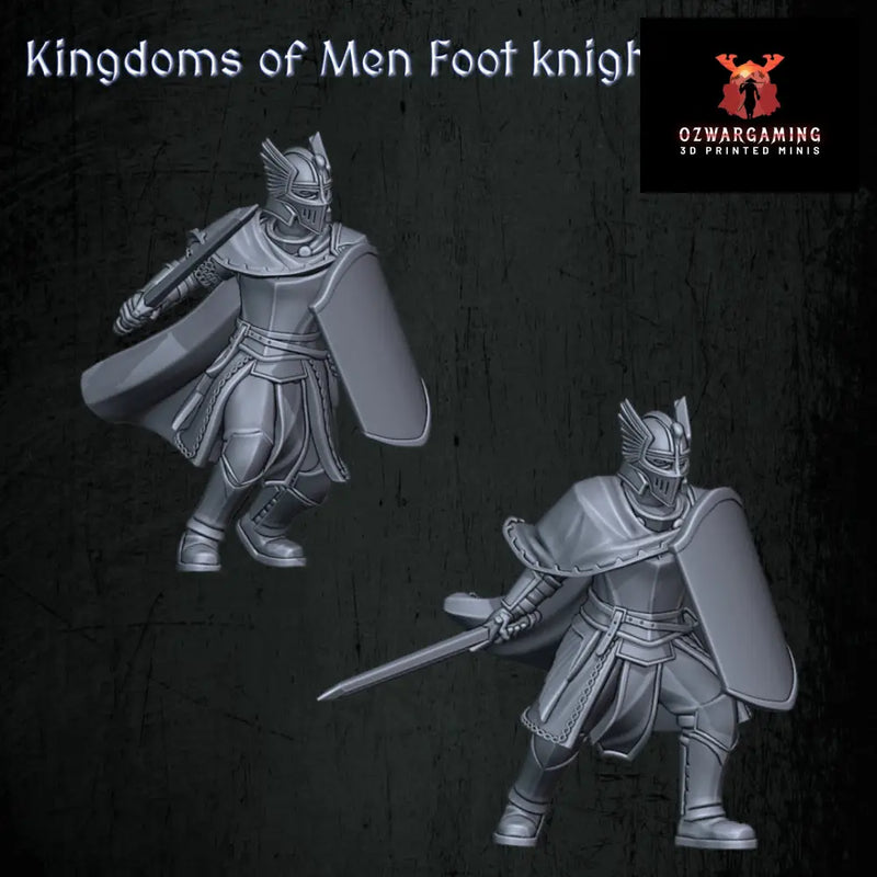 Kingdoms of Men Foot Knights | Quartermaster3D 25mm Fantasy Wargaming Miniatures Role Playing Miniatures