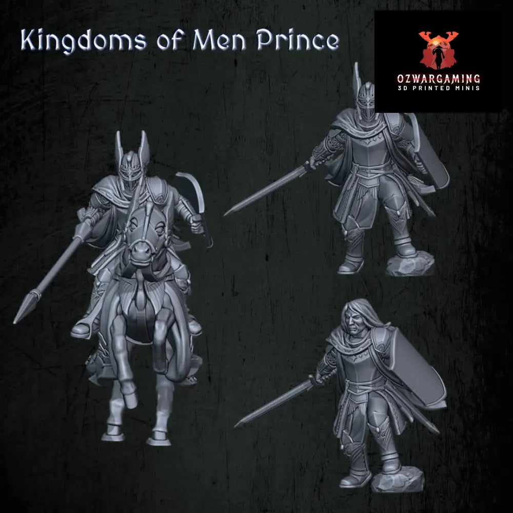 Kingdoms of Men Prince | Quartermaster3D 25mm Fantasy Wargaming Miniatures Role Playing Miniatures